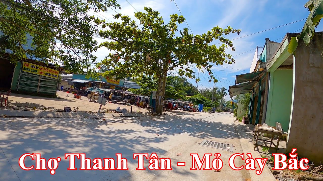Cầu Hàm Luông đến Chợ Thanh Tân | Mỏ Cày Bắc – Bến Tre 12-11-2023