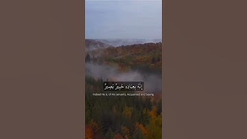 القارئ مختار الحاج 🌹