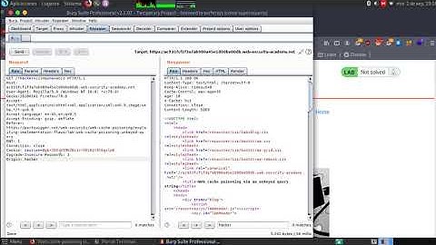 Web cache poisoning via an unkeyed query string