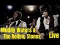 Muddy Waters &amp; The Rolling Stones | Baby Please Don&#39;t Go | Live Performance at Checkerboard Lounge