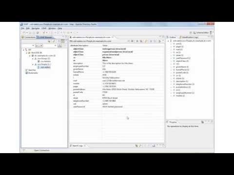 Coverity LDAP Setup (1 of 3)