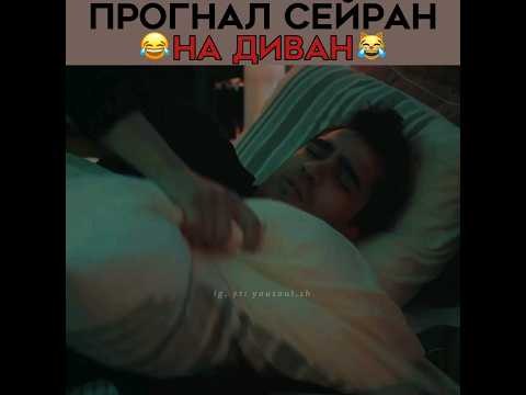 Ферит выкинул «Сейран» на диван 😂 Зимородок | СейФер | #зимородок #yalıçapkını #seyfer