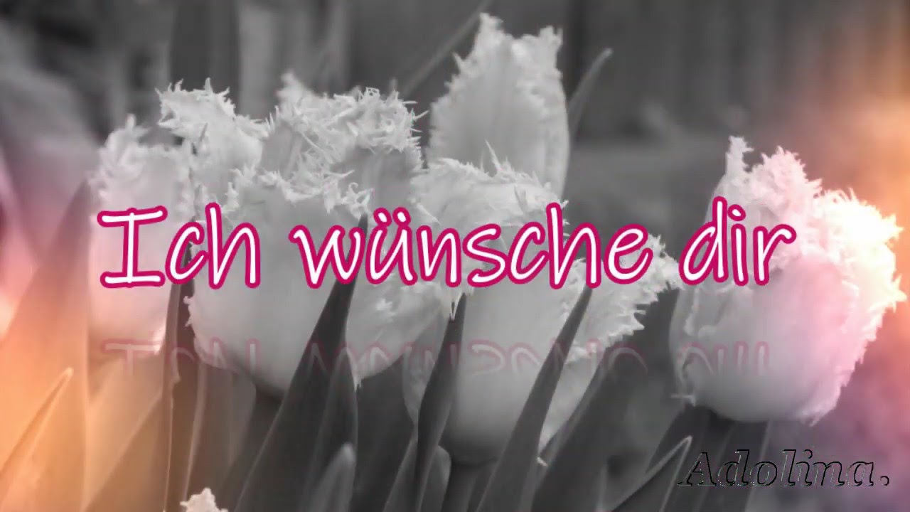 Update New Gute Besserung🌹Genesungwünsche 💖🌹