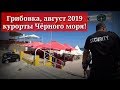 Грибовка, обзор 2019 август.