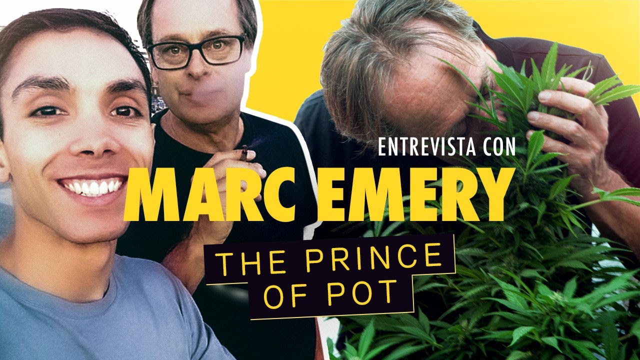 Entrevisté a un empresario y activista del Cannabis