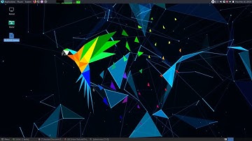 How to install java SE 13 oracle JDK on parrot os