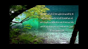 القارئ عزت الله سيف #سورة_القلم  من 33 إلى  52 - #Surat _Al-Qalam - EZZAT#
