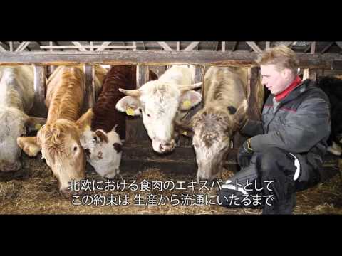 HKScan Brandmovie with Japanese subtitles