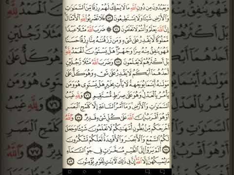 ماهر المعيقلي سورة النحل مكتوبة صفحة 275 مصحف المدينة المنورة جودة عالية