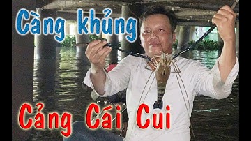 Câu tôm cuối năm tại Cảng Cái Cui - lên hàng khủng!