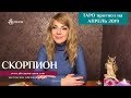 СКОРПИОН - ТАРО-прогноз на АПРЕЛЬ 2019 года/SCORPIO Tarot forecast for April 2019