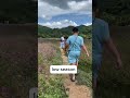 Hokkaido flower park before & after Khao Yai