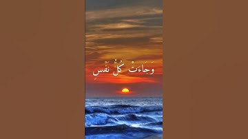 تلاوة القارئ خالد جليل #quran #المصحف