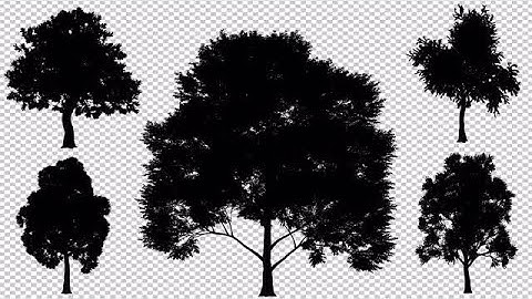 Silhouette Of Growing Deciduous Trees Stock Motion Graphics