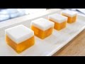 Mango Coconut Jelly (Agar Agar) Recipe ?????????? - Hot Thai Kitchen