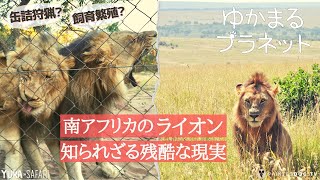 生配信「ゆかまるプラネット」意外と身近な知っておくべきライオンの闇産業...  2022/6/26