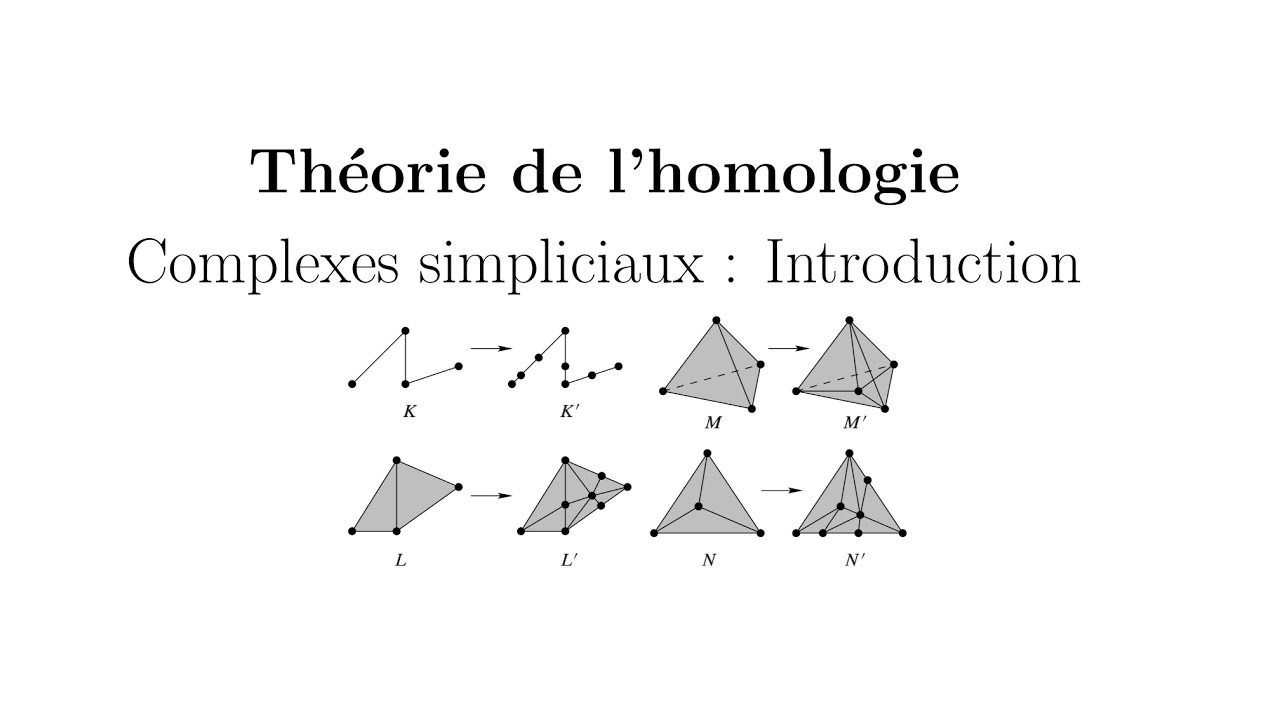 Théorie de l'homologie - Complexes simpliciaux : Introduction 