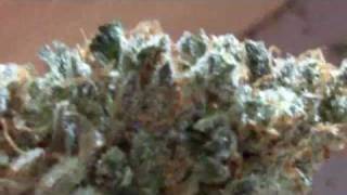 HD-Diesel