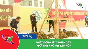 Phát động Tết trồng cây "Đời đời nhớ ơn Bác Hồ"