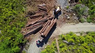 BC Coast Logging (drone video)