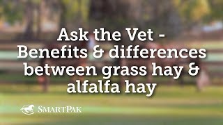 Ask the Vet  Benefits and differences between grass hay and alfalfa hay