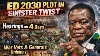 ED 2030 Plot Thickens: War Vets & Generals Unhappy as Activists Turn to Courts