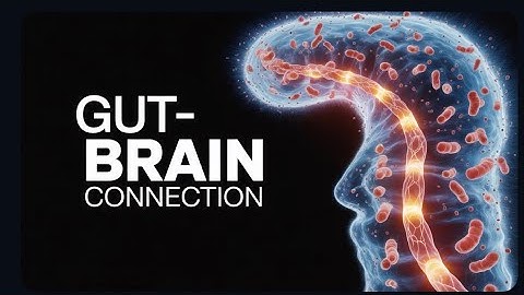 Your Second Brain: The Gut–Microbiome Secret Behind Depression & Anxiety