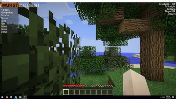 Minecraft Hacks Pack(Wurst 1.8.x 1.10.x 1.11.x 1.12.x) + Instructions