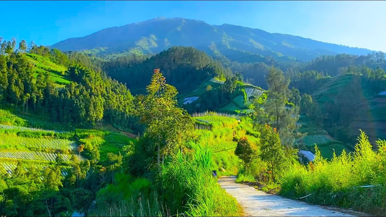 BIKIN CANDU ❗❗...KEPINGAN SURGA LERENG MERBABU, DUSUN BATUR, DESA WONOLELO, KEC. SAWANGAN, MAGELANG