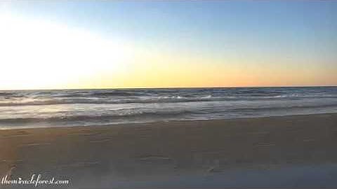 Lullaby of the Ocean  8 HOURS of Relaxing Music with the Sound of Waves   Zen, Meditation, Sleep