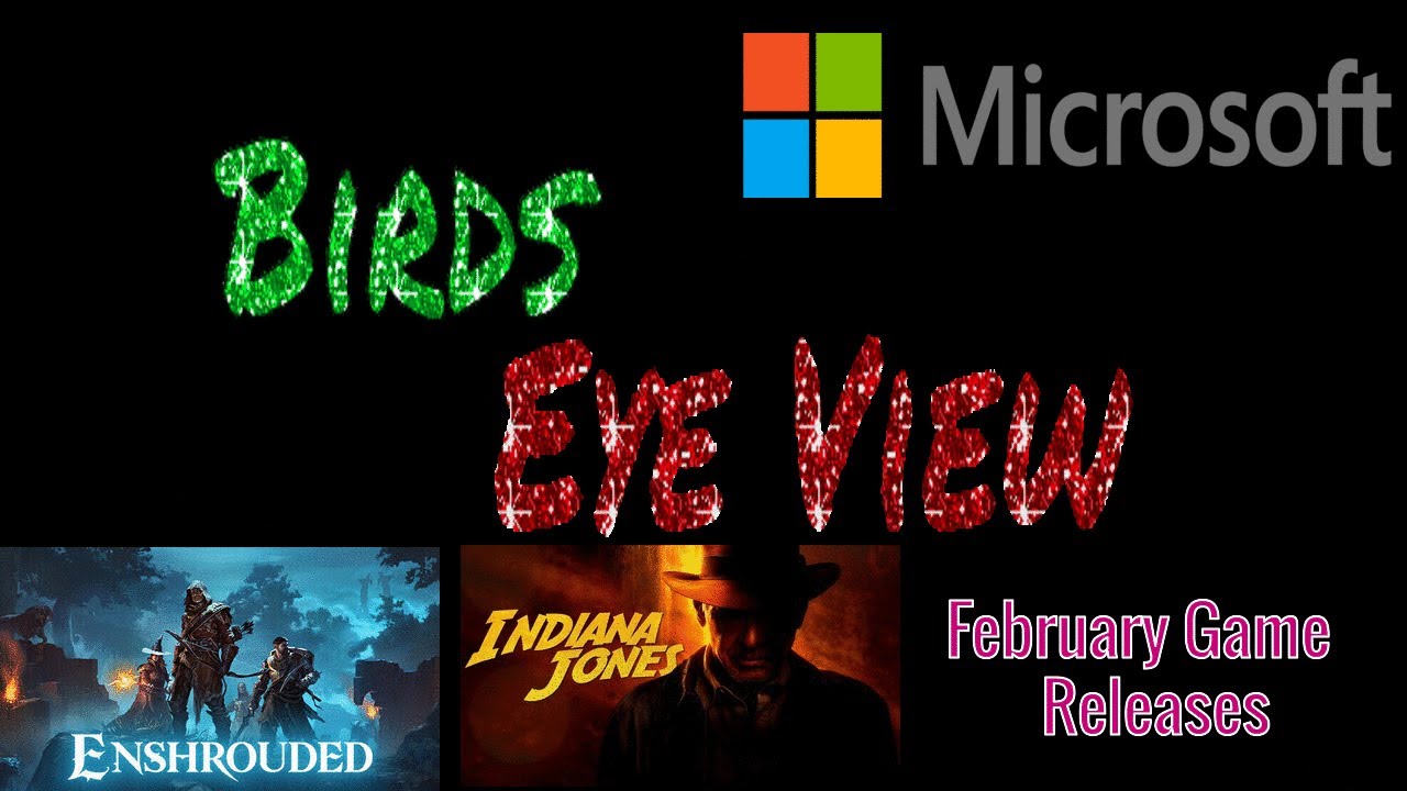 January gaming news and looking at February releases - Birds Eye view