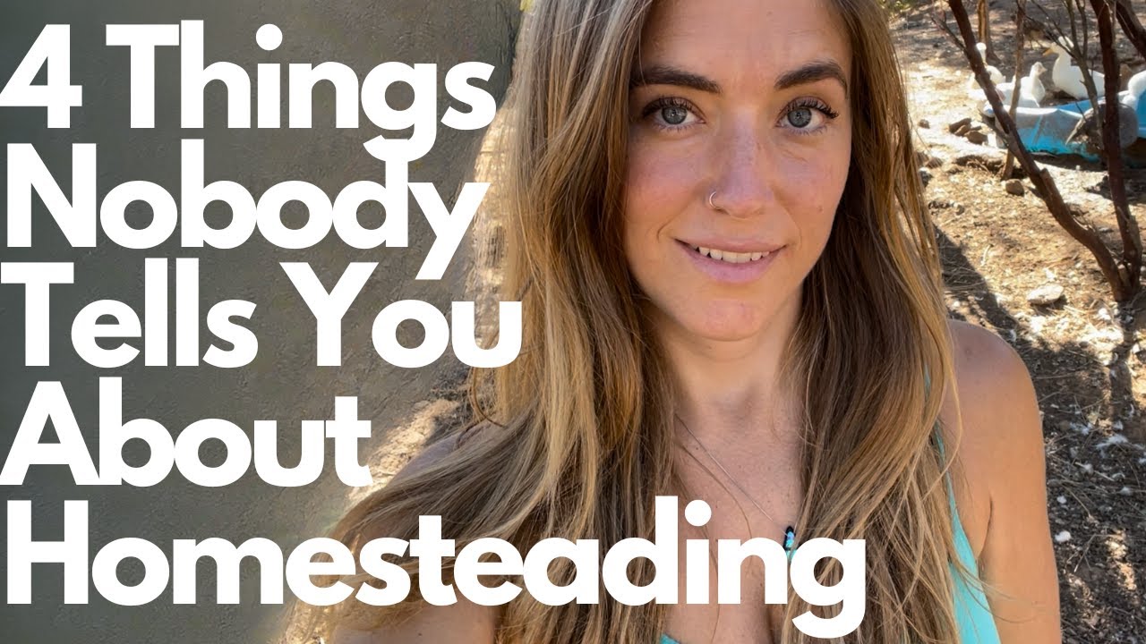 4 Things Nobody Tells You About Homesteading (What to Expect as a First ...