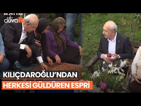 Kılıçdaroğlu, Giresun'da fındık ayıkladı; esprisi kahkahalara boğdu