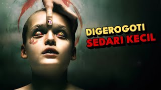 IBLIS 'BERKEMBANG BIAK' DALAM TUBUHNYA 💀| ALUR CERITA BRING HER BACK (2025)