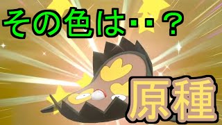 ポケモン剣盾 色違いのガラルマッギョgetシーン切り抜き Youtube