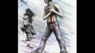 Perviz Bülbüle Yeni 2020