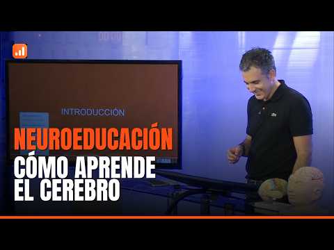 Neuroeducación: cómo aprende el cerebro y por qué es un negocio sin competencia | Jürgen Klarić