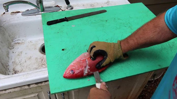 How To Clean Saltwater Fish? (Vermillion Snapper)