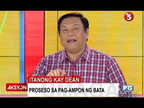 Video: Pag-ampon: Ano Ito At Kung Paano Ito