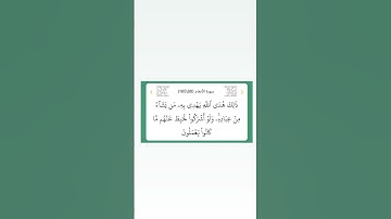 سورة الأنعام ٨٨