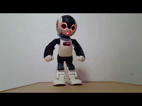 [에이토이] (구) [모움TV] 휴머노이드 로봇 로비 일본로봇 장난감  robi robot~