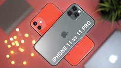iPhone 11 vs 11 Pro : quel est le meilleur iPhone ?