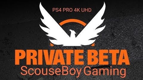 The Division 2 Private Beta Public Execution  PS4 PRO 4K