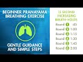 Beginner pranayama  relaxation exercise  15 second gently increasing breathholds  simple calm