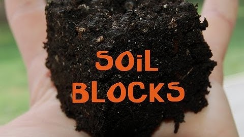 Soil Blocks [Part 1 of 2]