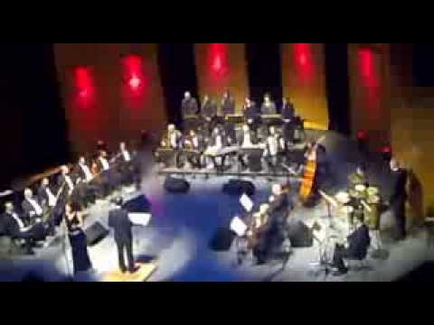 شذى حايك حفلة دار الأوبر 4 2 2014 يا من هواه