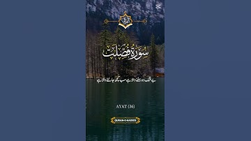 Surah Fussilat (سورة فصلت) is the 41st surah of the Qur'anSurahFussilat#Surah41#Fussilat#HaMeemAsSa
