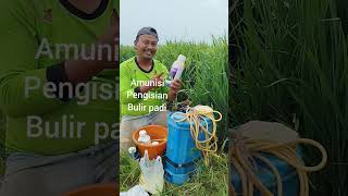 Rice Grain Filling Ammunition