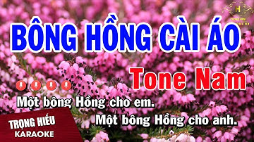 Karaoke Bông Hồng Cài Áo Tone Nam Nhạc Sống | Trọng Hiếu