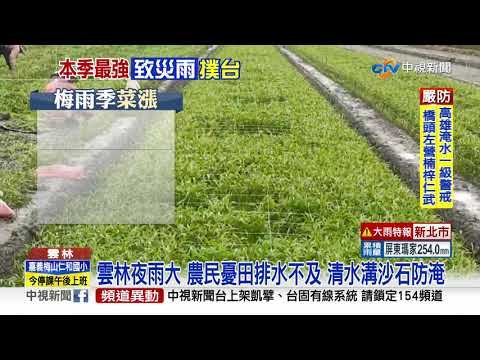 連夜大雨! 雲林菜農忙搶救 葉菜類漲近7成│中視新聞 20200522